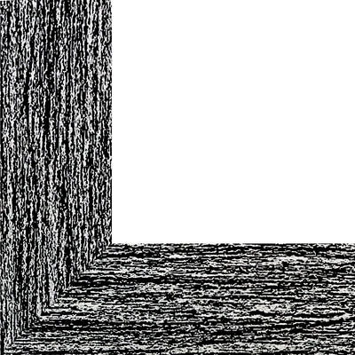 Rama foto Leon negru A5