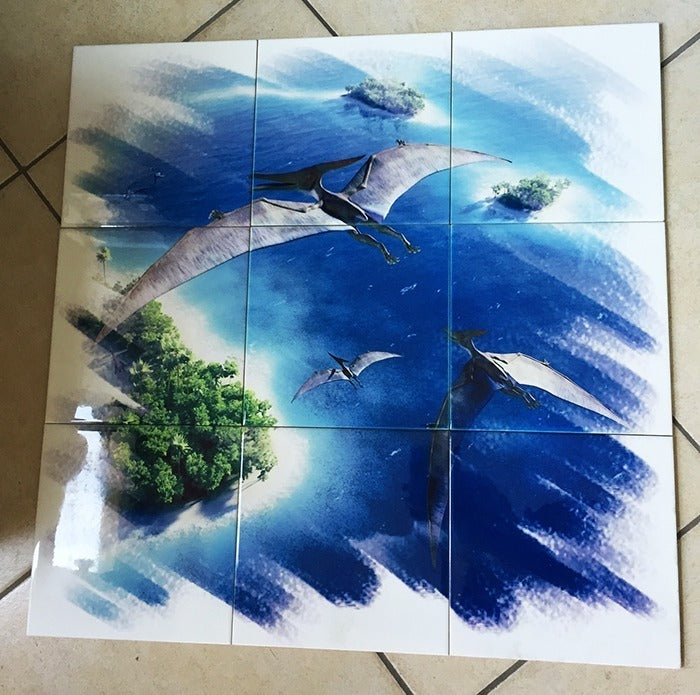 Faianta sublimabila 20x20