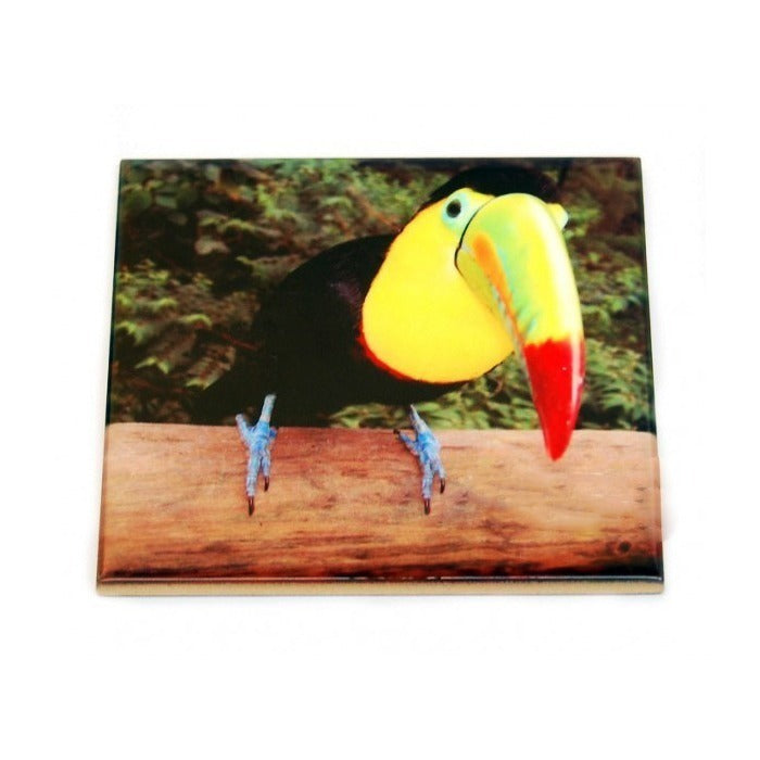 Faianta sublimabila 20x20