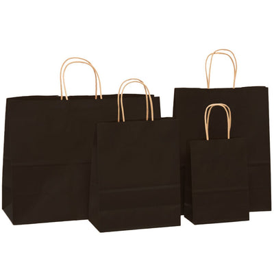 Sacosa kraft neagra 25x31 BO7538S102 - Green Print