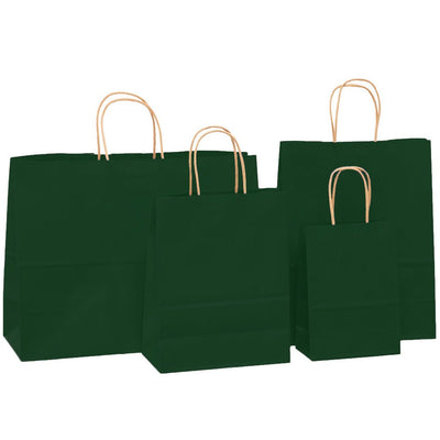 Sacosa kraft verde inchis 22x23 BO7539S1226 - Green Print