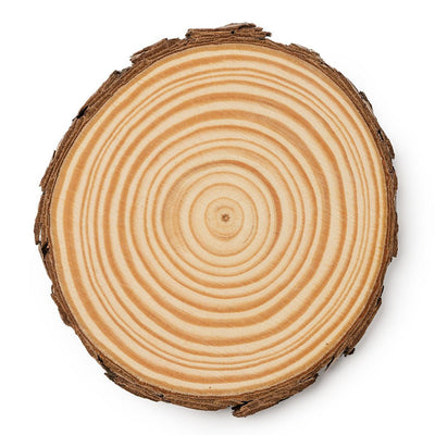 Set 4 felii de lemn in cutie - Ø 10cm x 1cm grosime PV4140S129 - Green Print