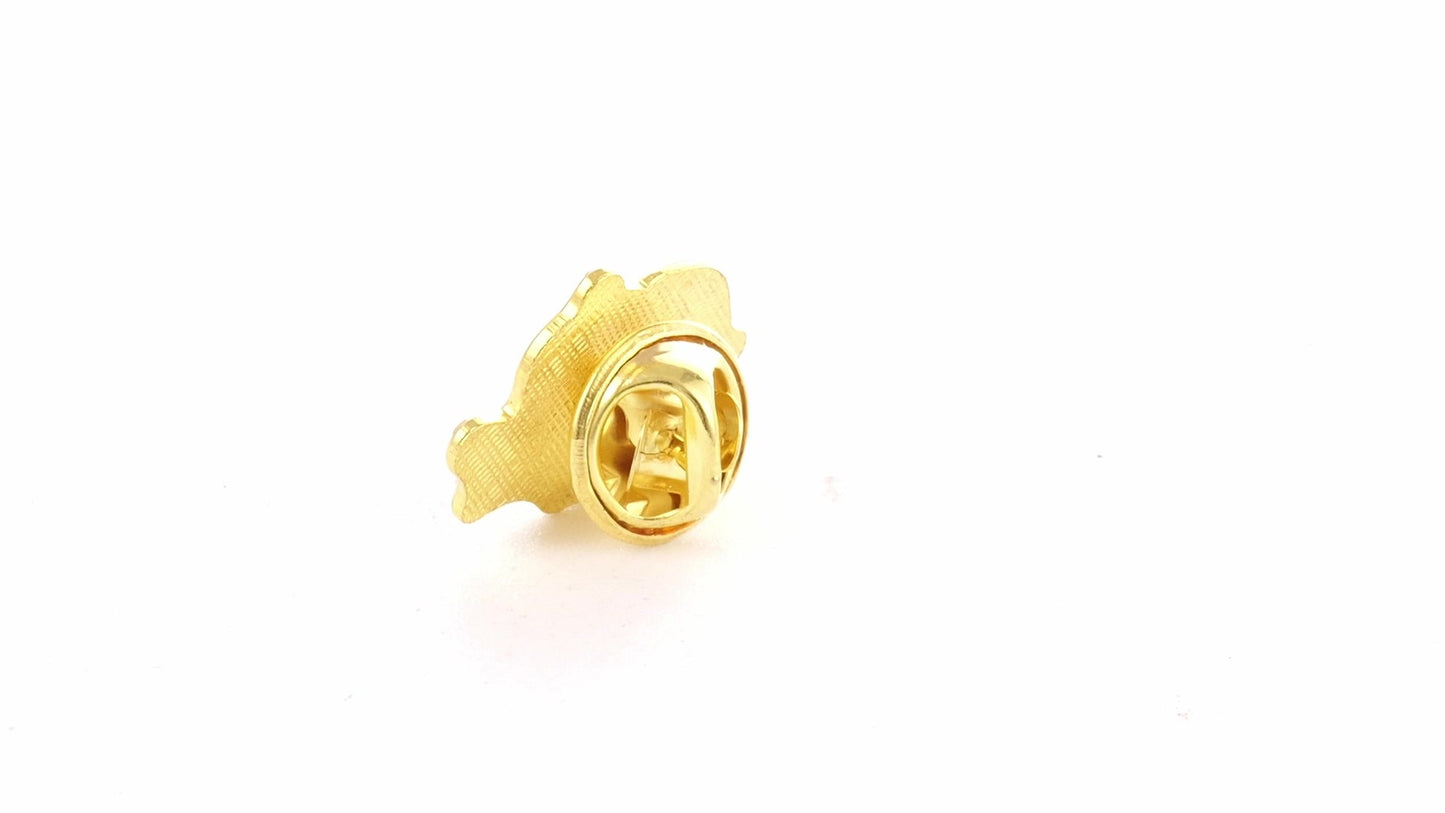 Pin metalic auriu tricolor ROMANIA