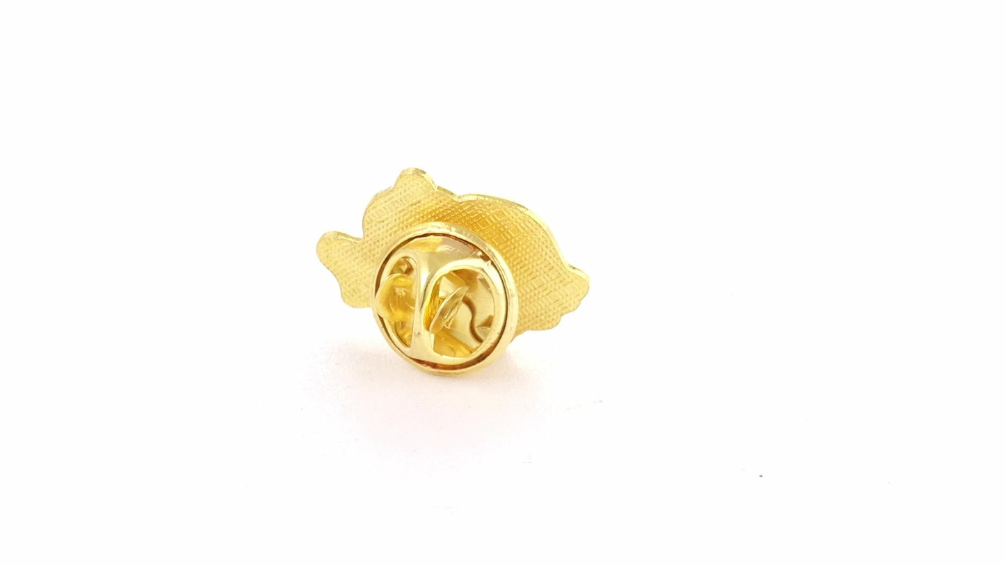 Pin metalic auriu tricolor ROMANIA