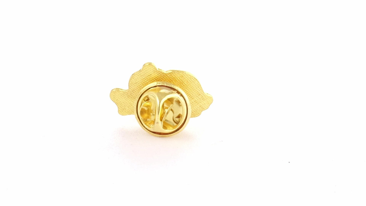 Pin metalic auriu tricolor ROMANIA