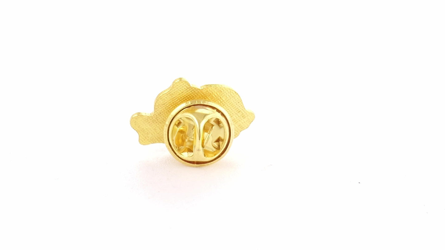 Pin metalic auriu tricolor ROMANIA