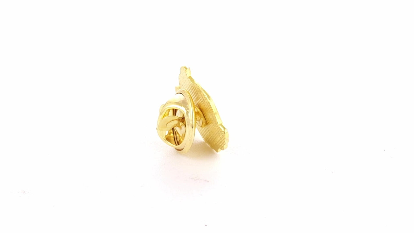 Pin metalic auriu tricolor ROMANIA