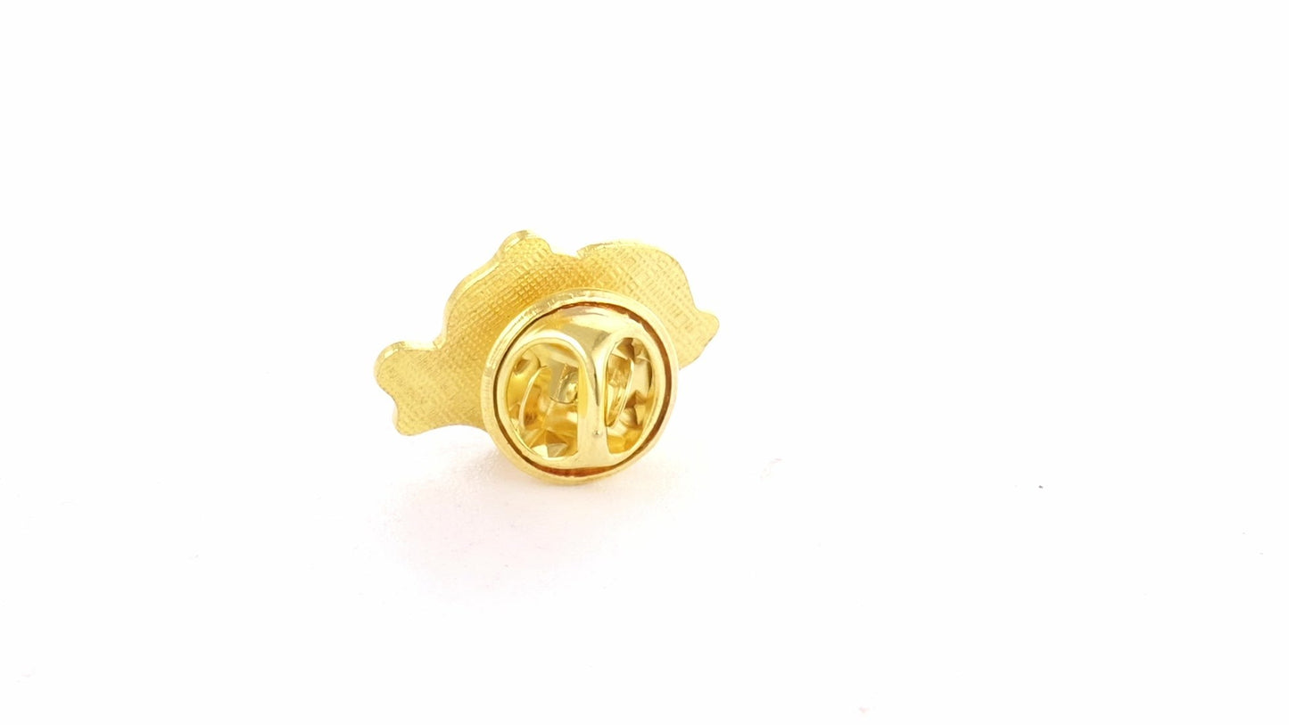 Pin metalic auriu tricolor ROMANIA