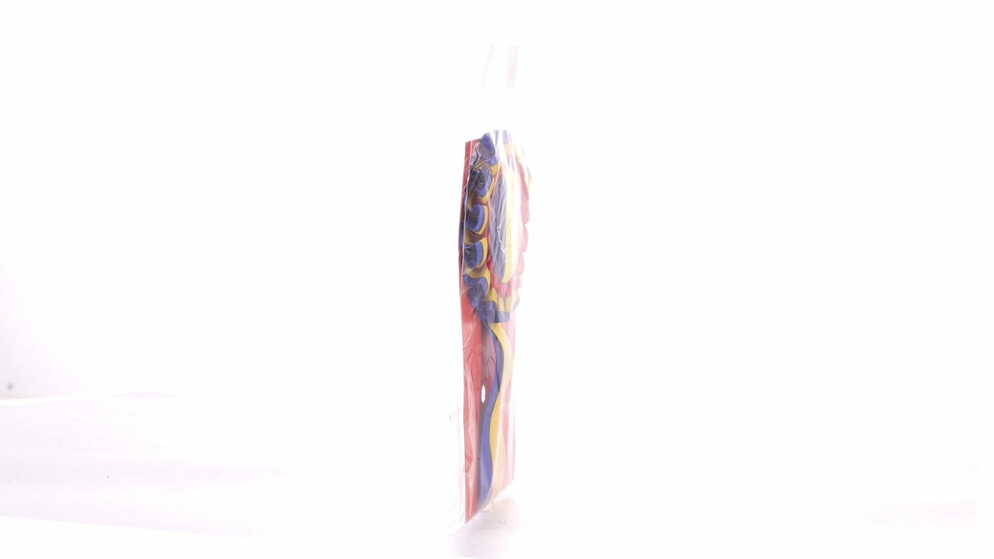 Tricolor Cockade Badge ROMANIA