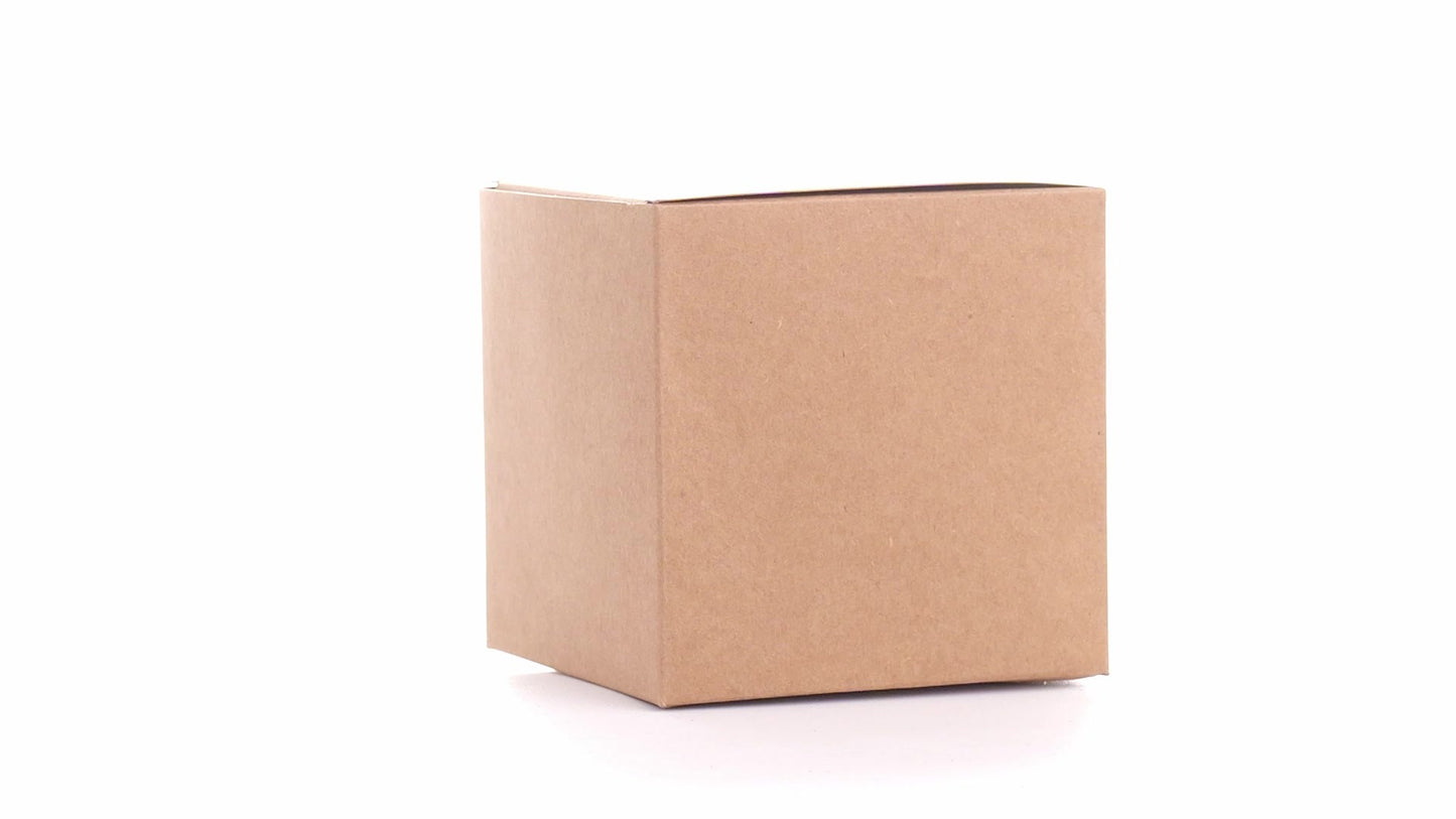 Kraft mug box