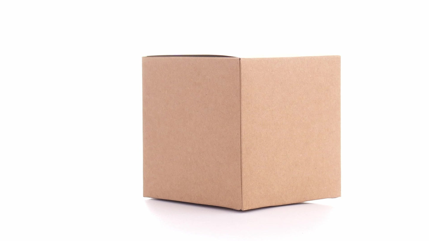 Kraft mug box