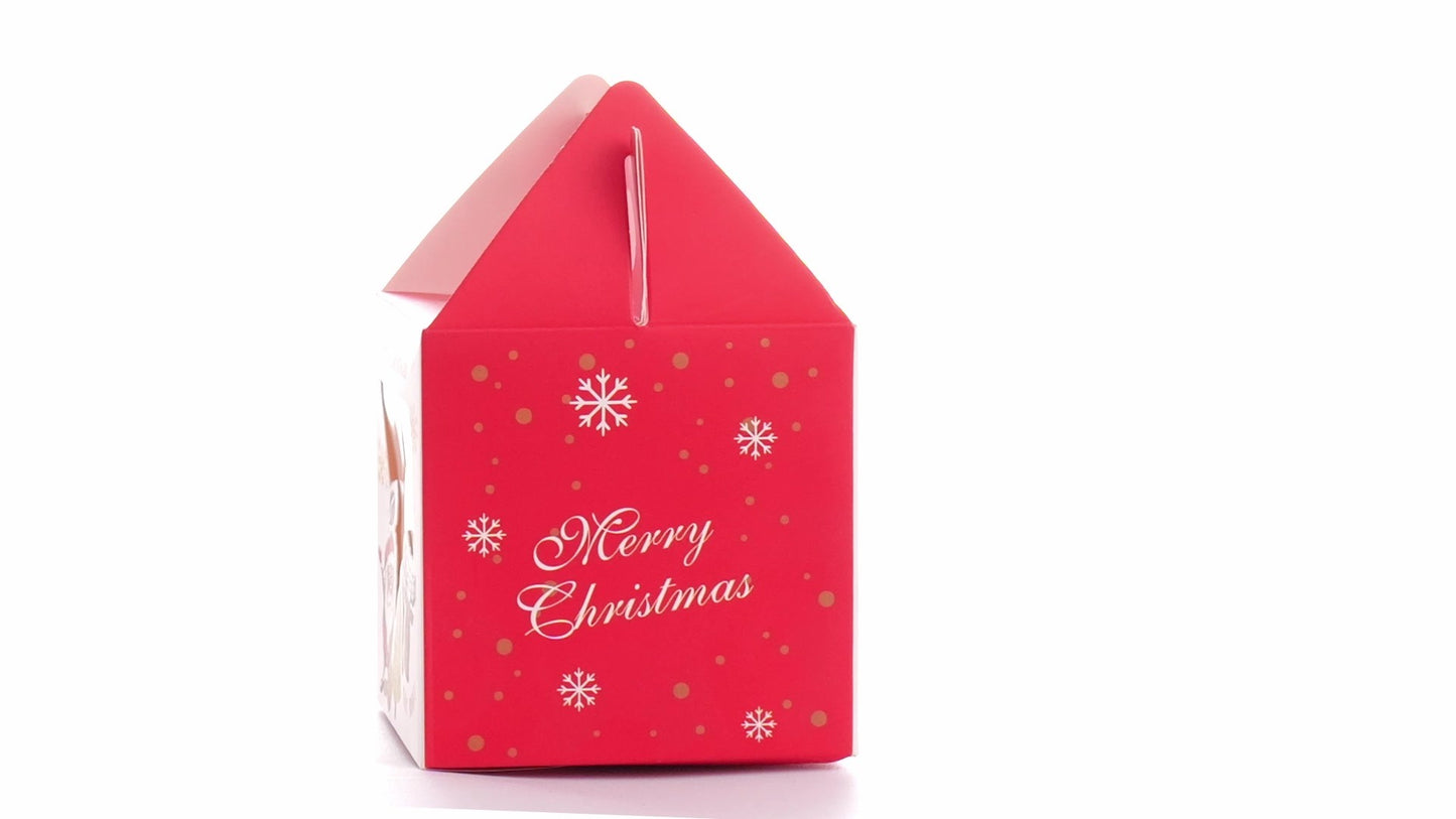 3D Christmas mugs box red+white