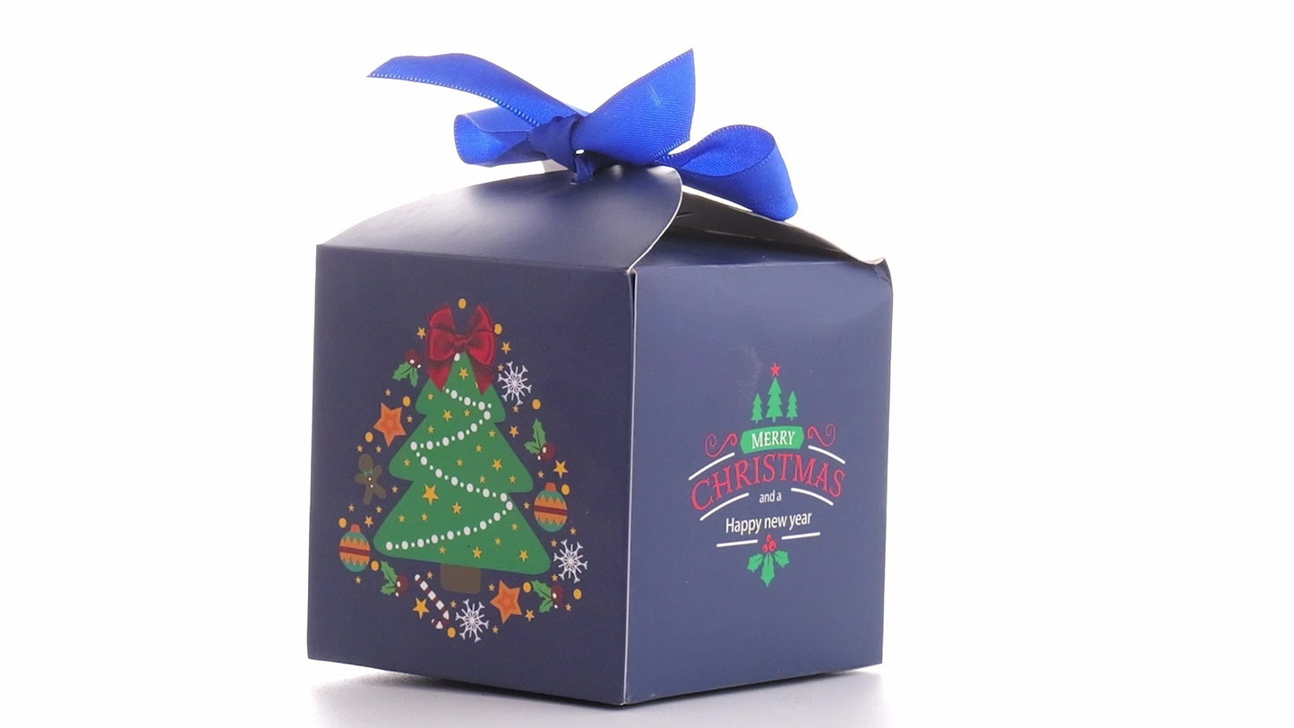 Cutie cani Craciun cu funda albastra