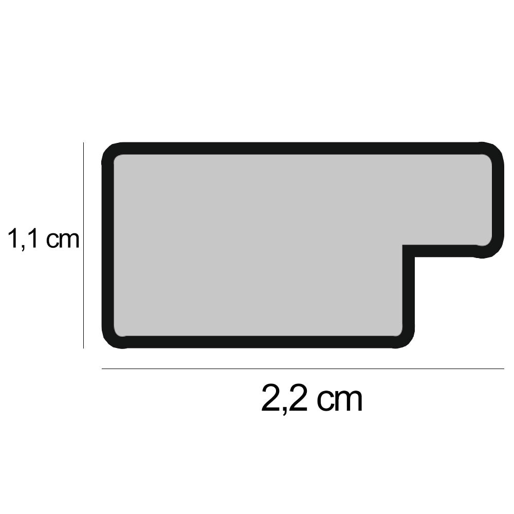 Rama foto Leon auriu texturat 13x18