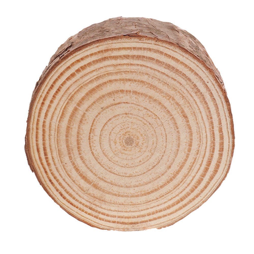 Suport de lumnanare din trunchi de copac WD608080 - Green Print