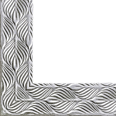 Rama foto Leon argintiu texturat A5