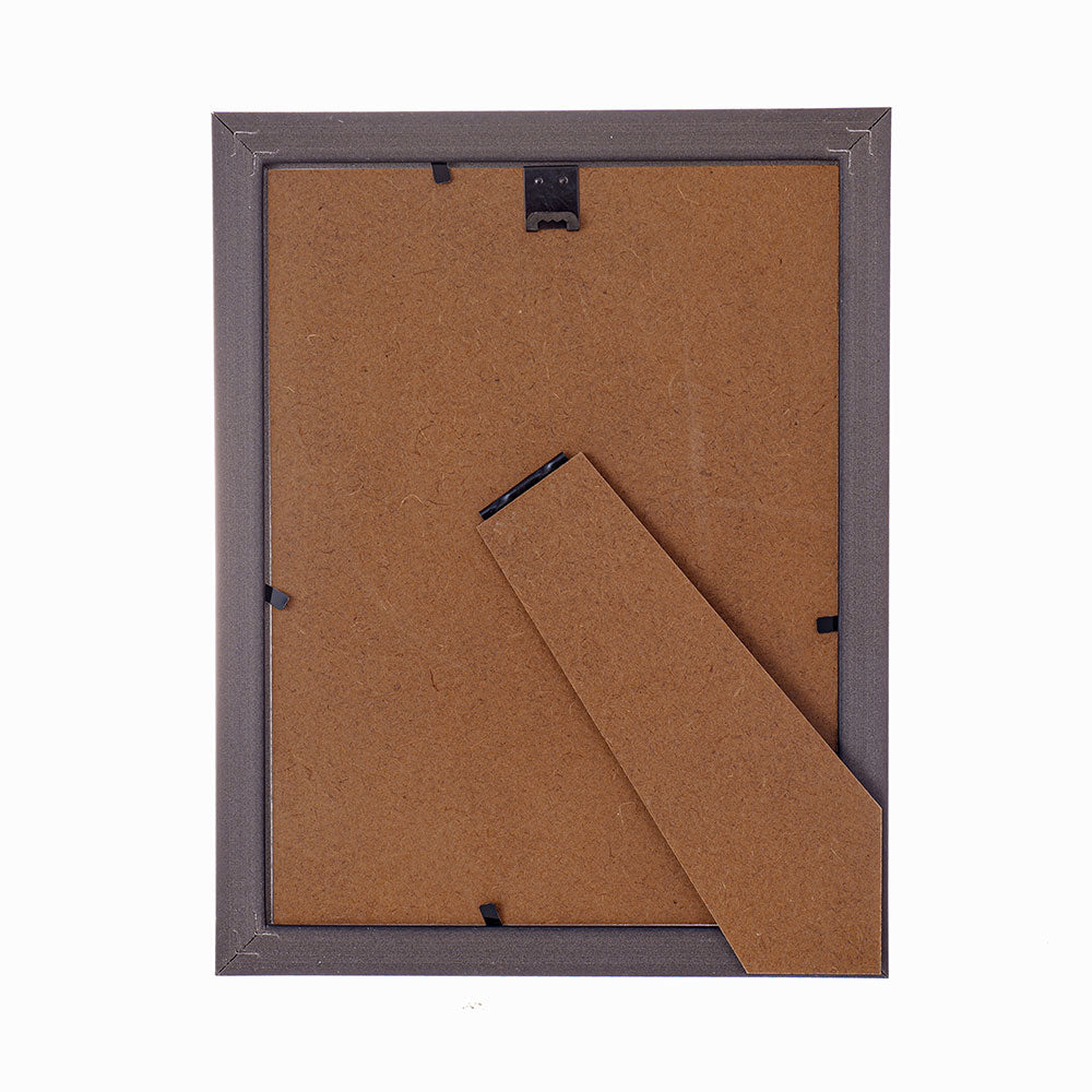 Rama foto Leon argintiu texturat A5