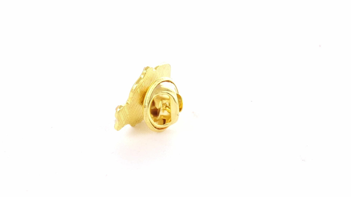 Pin metalic auriu tricolor ROMANIA