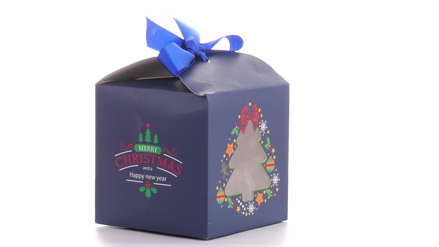 Christmas dog bowls with blue bow