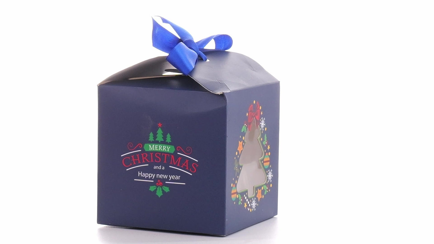 Christmas dog bowls with blue bow