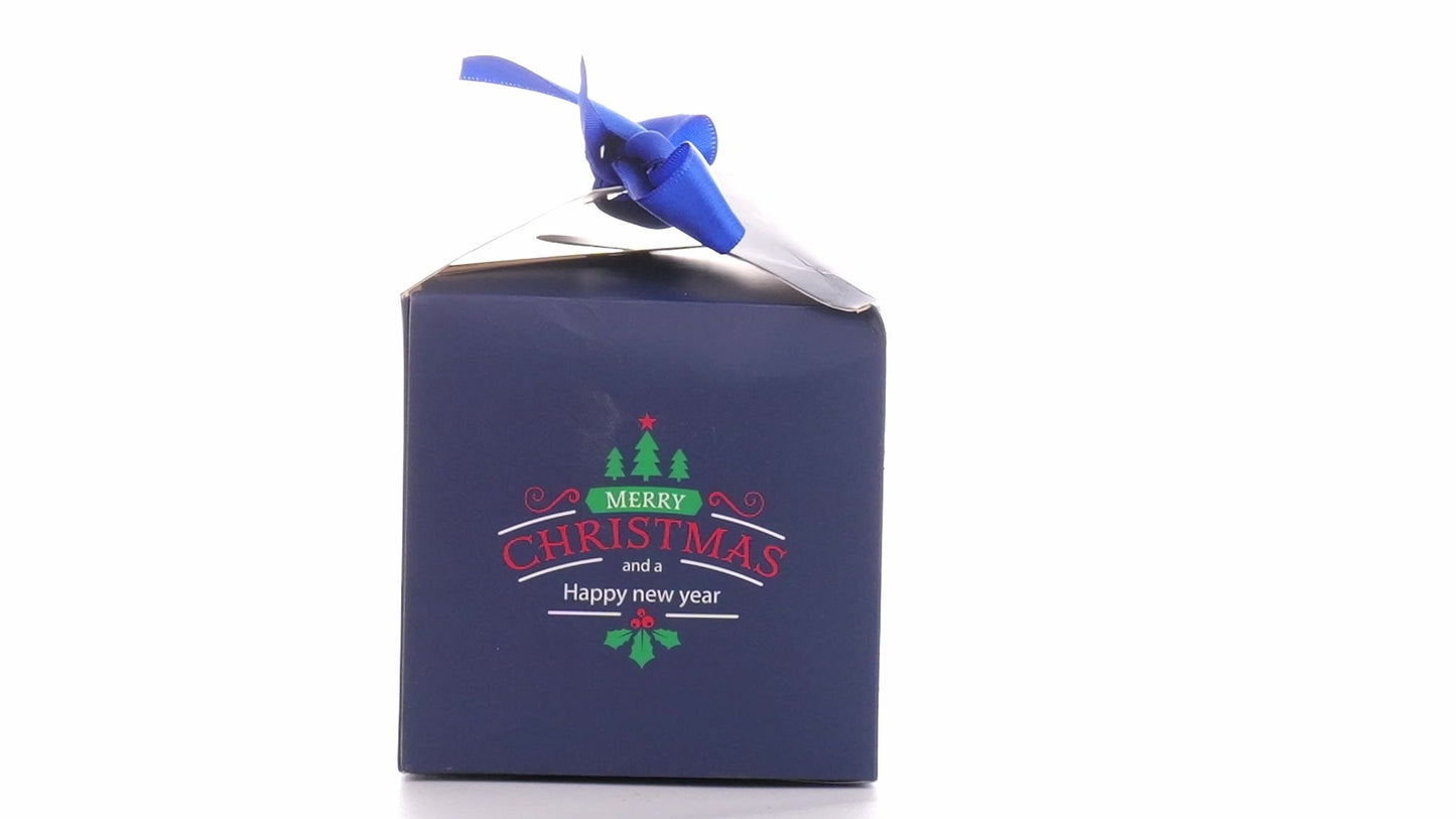 Christmas dog bowls with blue bow