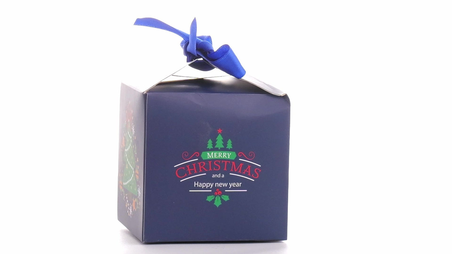 Christmas dog bowls with blue bow