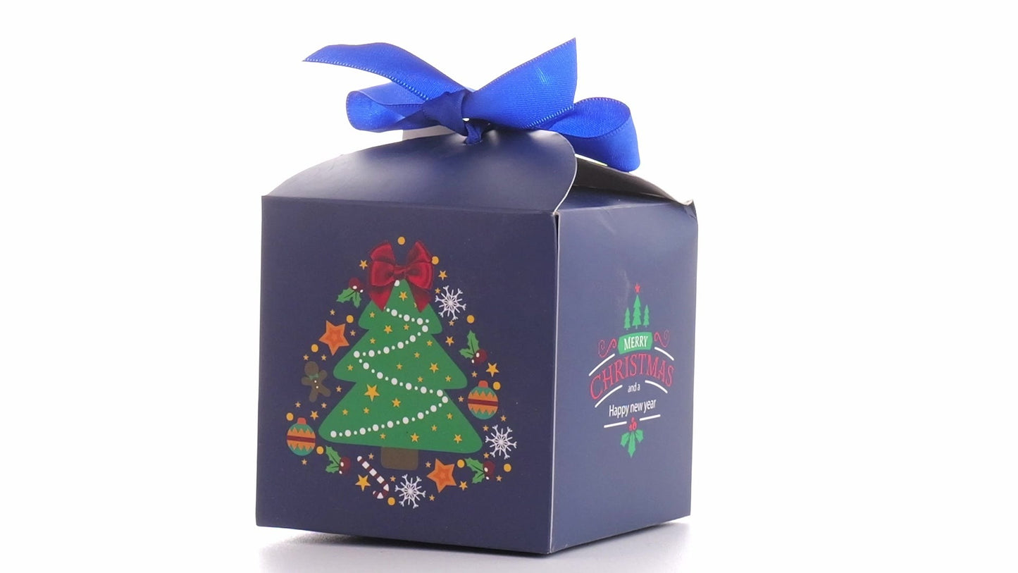 Christmas dog bowls with blue bow