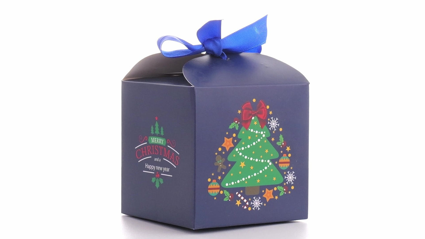 Christmas dog bowls with blue bow