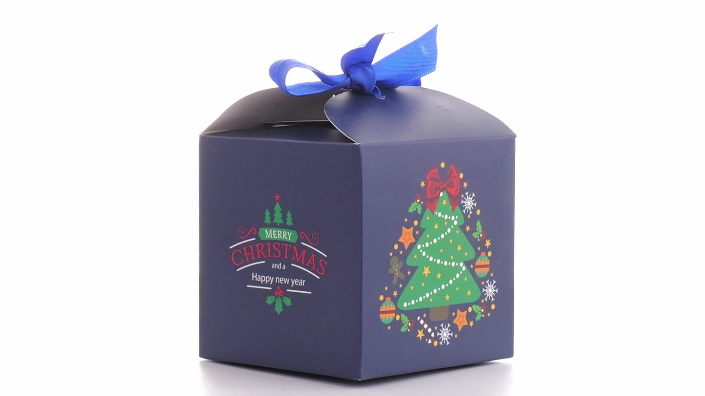 Christmas dog bowls with blue bow
