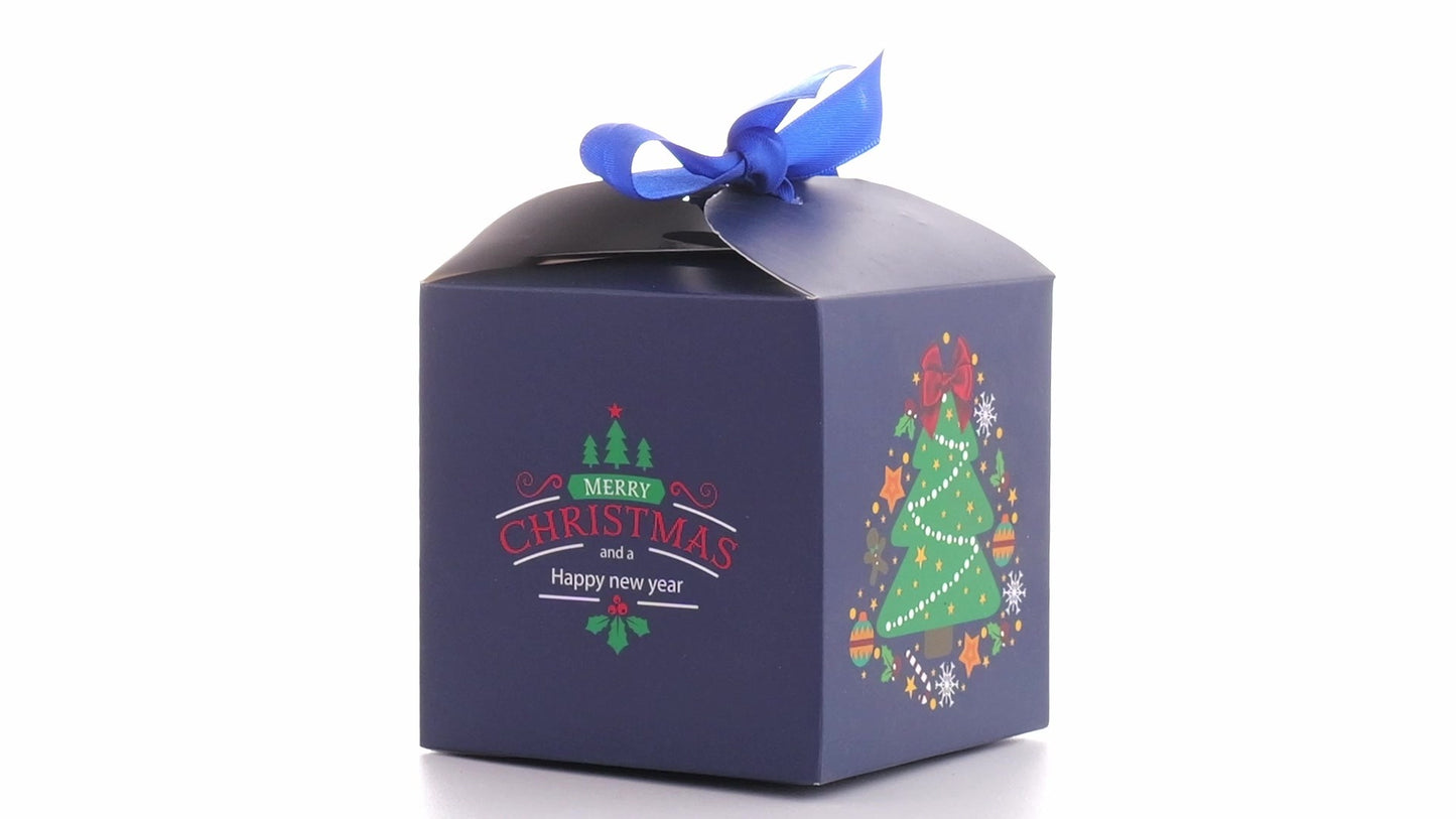 Christmas dog bowls with blue bow