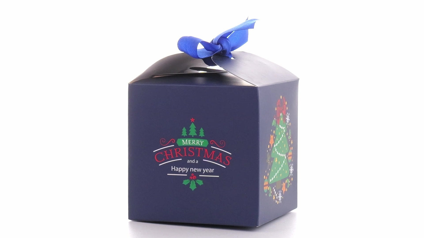 Christmas dog bowls with blue bow