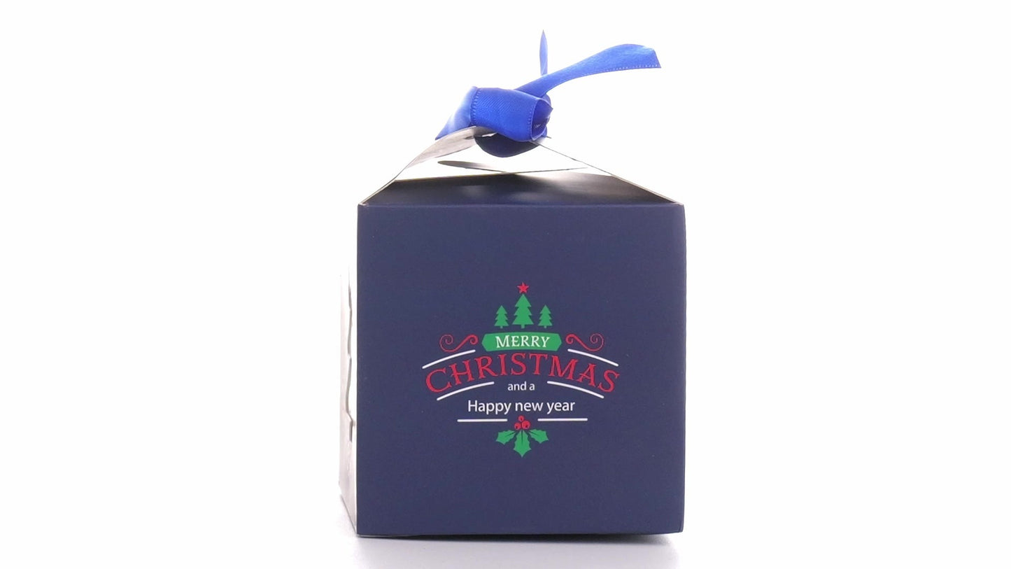 Christmas dog bowls with blue bow