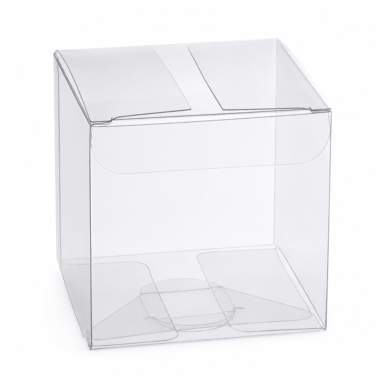 Cutie cani plastic transparente 10x10x10cm ACT100 - Green Print